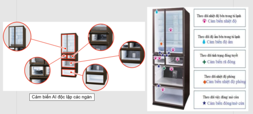 Tủ lạnh Mitsubishi MR-WXD70G 700L, dàn lạnh độc lập, đa cảm biến 13 Tủ lạnh Mitsubishi MR-WXD70G 700L, dàn lạnh độc lập, đa cảm biến - Ảnh 4